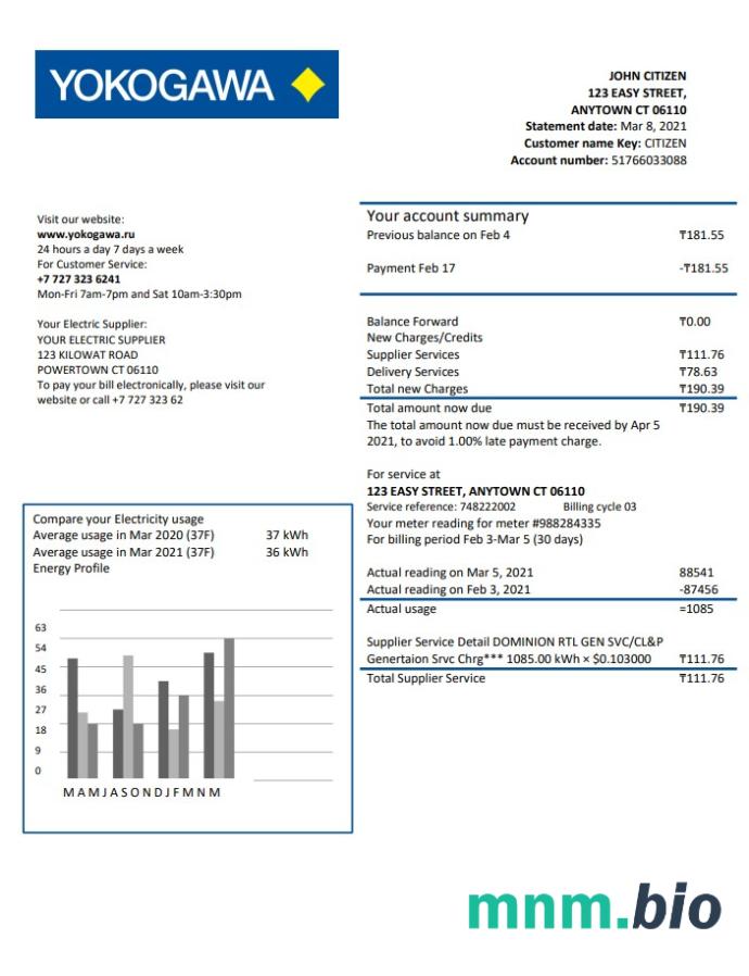 Kazachstan Yokogawa Electric Kazachstan rachunek za media szablon w formacie Word i PDF